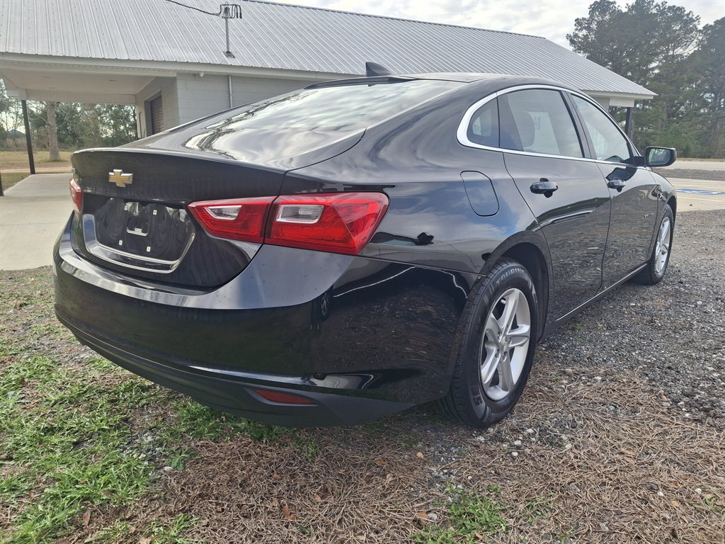 2019 Chevrolet Malibu 1LS's photo
